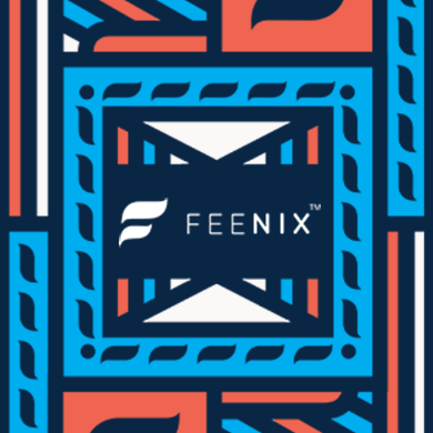 Feenix is an online crowdfunding platform that connects students and communities to fundraise towards achieving debt-free education.