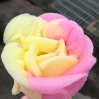 むっくみん (@mukkumin45) 's Twitter Profile