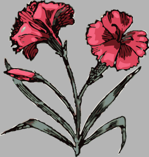 Audenian's profile picture. we specialise in support for anyone affected by cancer, gay bereavement and heterosexuals with a gay family member. Also stress, grief, anxiety & relationships