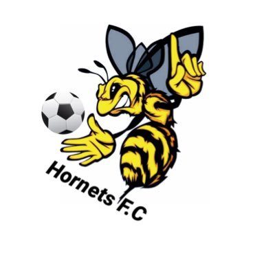 Hornets F.C - Established in 2019 - Barnes Print Central and South Norfolk Division 3