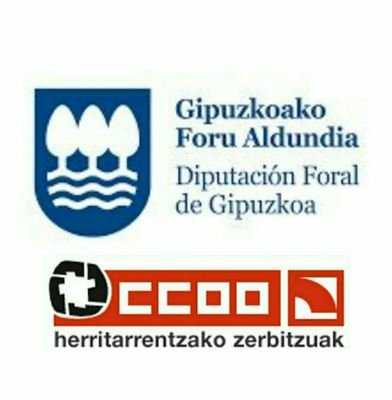 Gipuzkoako Foru Sektore Publikoaren CCOO-eko atalak // Secciones de CCOO en el Sector Público Foral de Gipuzkoa (DFG, Uliazpi, Izfe, ATTG...)