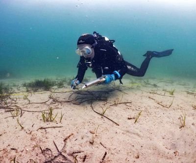 Research Officer and underwater photographer who works at The University of Western Australia focusing on seagrass restoration