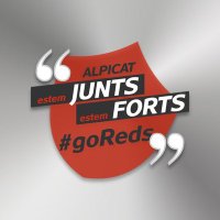 Futbol Alpicat (@futbolalpicat) 's Twitter Profile Photo