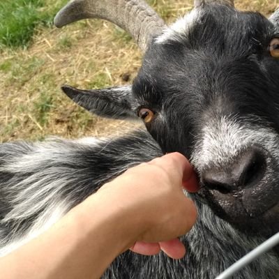 eyes_theirs's profile picture. 