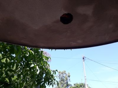 tunkytunkytunk2's profile picture. 