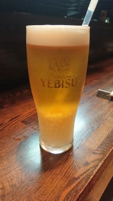 ツイッター初心者
猫/酒/料理/編み物/猫/猫
をつぶやきます