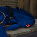 Blue Fury! (@subbyshadow) Twitter profile photo Blue Fury! (@subbyshadow) Twitter profile photo