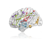YongHe_lab (@helabbnu) 's Twitter Profile Photo YongHe_lab (@helabbnu) 's Twitter Profile Photo