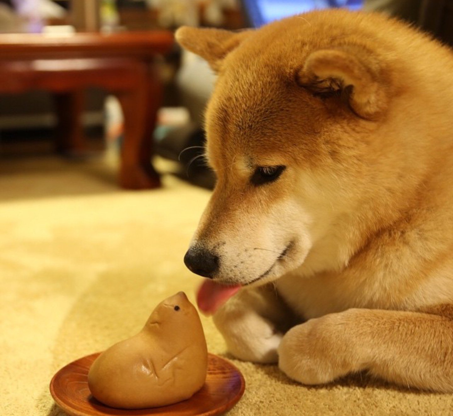 ワンコは柴派。 猫も好き。キャンディーズはミキちゃん派。生まれは大阪。育ちも大阪。
趣味は鉄道(模型鉄)、オーディオ。
177#106#55,
作業着他、着衣フェチのゲイ。
天の邪鬼な性格で面倒くさい。
こんなヤツですがよろしく。