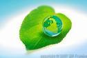 Pixel by Pixel, Leaf by Leaf, Preserving Word's most powerful Carbon sink technology