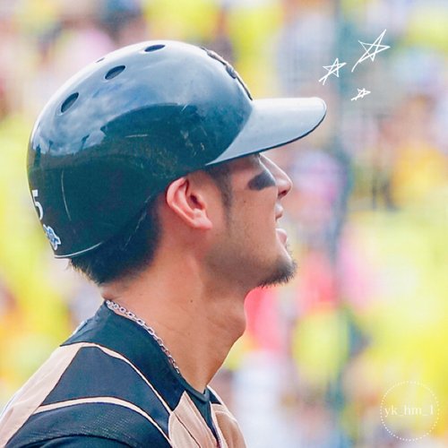 yk_hm_1's profile picture. のんびりはむふぁん🦊いろいろ撮ります🧸⛳️保存はご自由に🌱転載・加工・アイコン等への使用はお控えください🚫