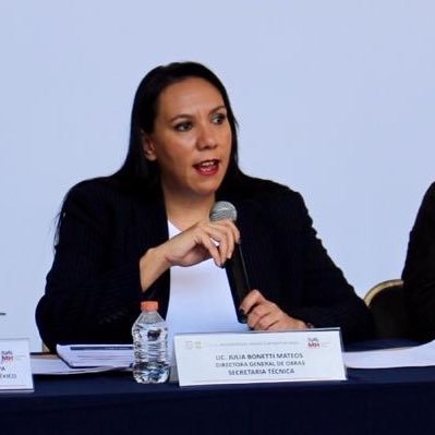 Mujer, abogado, especialista en obra pública, mamá. Lo publicado aquí es a título personal.