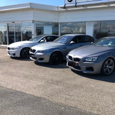 WindogeToufik's profile picture. 