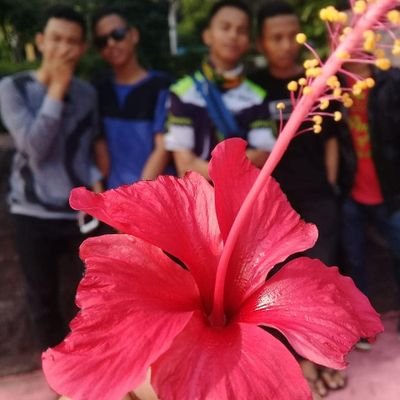 fujhiromdhoni's profile picture. sibuk