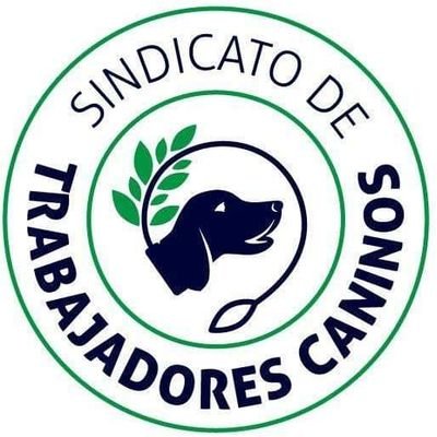 STCARGOK's profile picture. Como trabajadores caninos buscamos el reconocimiento de nuestros derechos laborales. 🐾🇦🇷