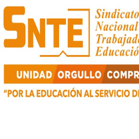 SNTEFederal (@sntef) 's Twitter Profile