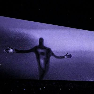 cryptomikeaird1's profile picture. Blockchain fan