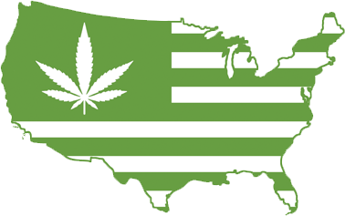 We strive to be the best B2B Cannabis Marketplace in the United States for the Legal Cannabis Industry.