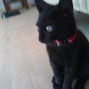 Craig Ames - @Craigames5 - Twitter