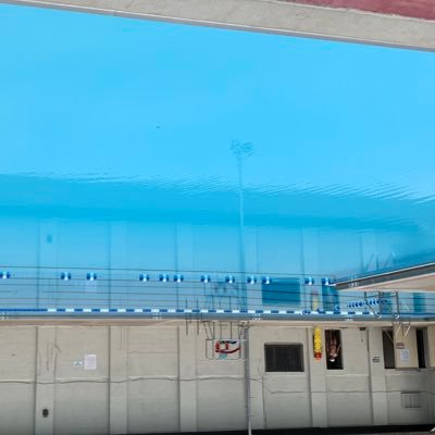 sodapopscully's profile picture. 