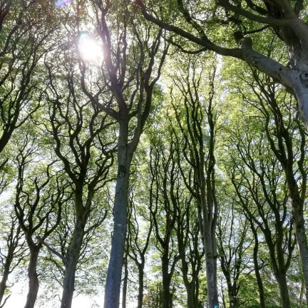 amateur 📷; 💗 family, nature 💙Scotland - esp. South West; dancing, and 80s music. Interested in learning about alzheimers and supporting family