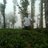 bharath252's profile image