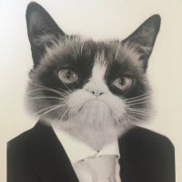 *hauptwort (@_hauptwort) 's Twitter Profile