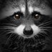 11111111111111111111111 (@faboo_1) Twitter profile photo 11111111111111111111111 (@faboo_1) Twitter profile photo