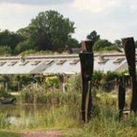 HHP (@hockertonhp) 's Twitter Profile