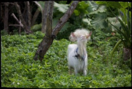 subline96's profile picture. 