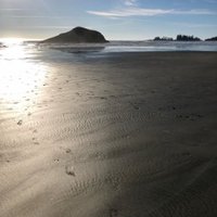 dwmorris (@dwmorris1) 's Twitter Profile