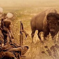 milo09551529's profile picture. 