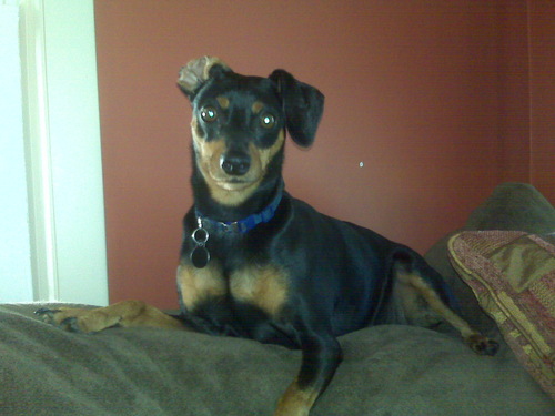 TracyHover's profile picture. 