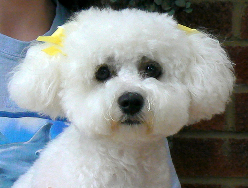 Nat_Spongecake's profile picture. I worship my dog, I am a cupcake connoisseur, and I love Ashes to Ashes/Life on Mars (and numerous other programmes)