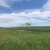 Pioneer AgViation 2 LLC. (@2pioneer) Twitter profile photo Pioneer AgViation 2 LLC. (@2pioneer) Twitter profile photo