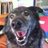 Petaccessguy's profile image