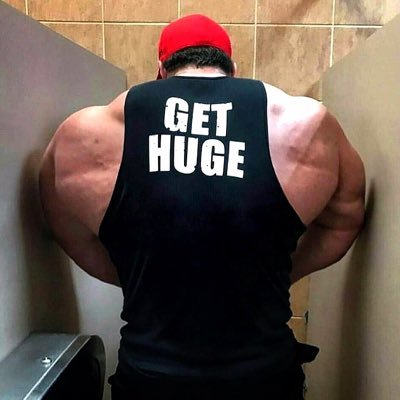 sunting17's profile picture. developer
