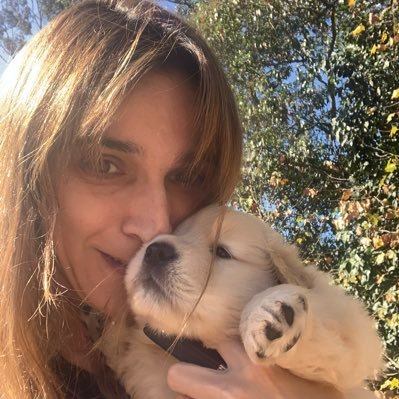 lucilacoelho's profile picture. 