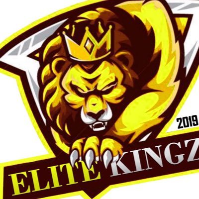 VIRTUAL TEAM PRO CLUBS ELITE KINGZ FC #BeElite 🦁