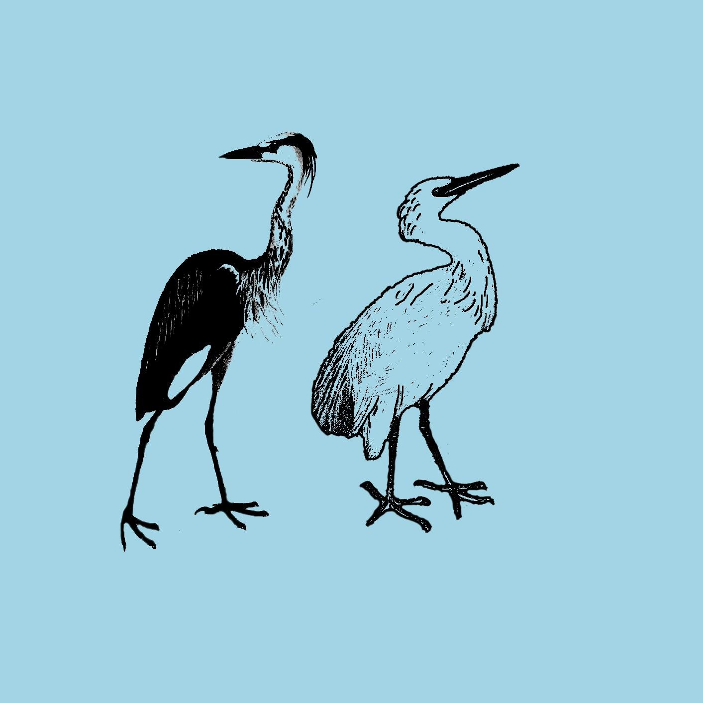 Heron & Crane are a psych-folk-instrumental duo from Charlottesville, VA and Columbus, OH. https://t.co/LtAJ3DJXcD