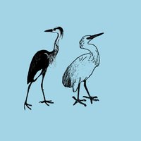 Heron & Crane(@heroncraneband) 's Twitter Profile Photo