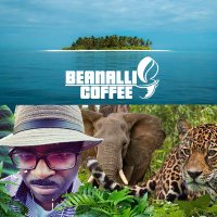 BEANALLI COFFEE (@beanalli) 's Twitter Profile