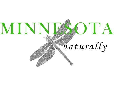 Minnesota Naturally, bringing you health, wellness, fitness and more in MN.  We are a free monthly periodical located around the Twin Cities and MN.