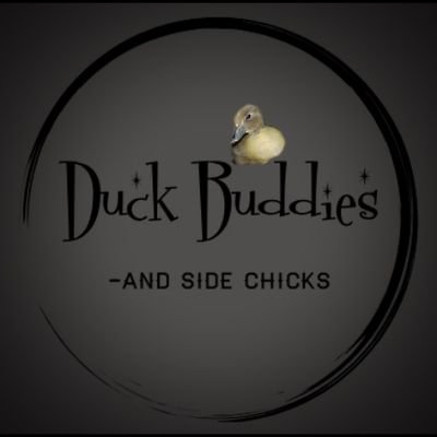 Duck Buddies and Side Chicks