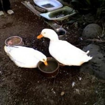 takihito's profile picture. 鎌倉のとある会社で働いています

BlueSky: https://t.co/KB36JbF5e1
Threads: https://t.co/vpvLhkuZah