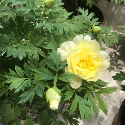 xmucyp's profile picture. Absolutely everyone in this world works based on their Time Zone.