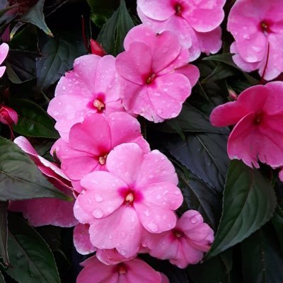 ukhantweets's profile picture. Software Engineer. Sufi in the making...