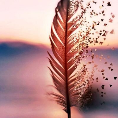 GdlYaya's profile picture. Guadalajara Jalisco