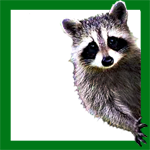 Photo, design, web, coding, e-commerce, sport etc.