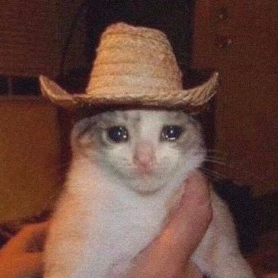 ast722_'s profile picture. 